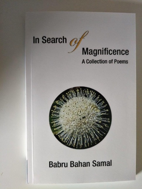 In Search of Magnificence